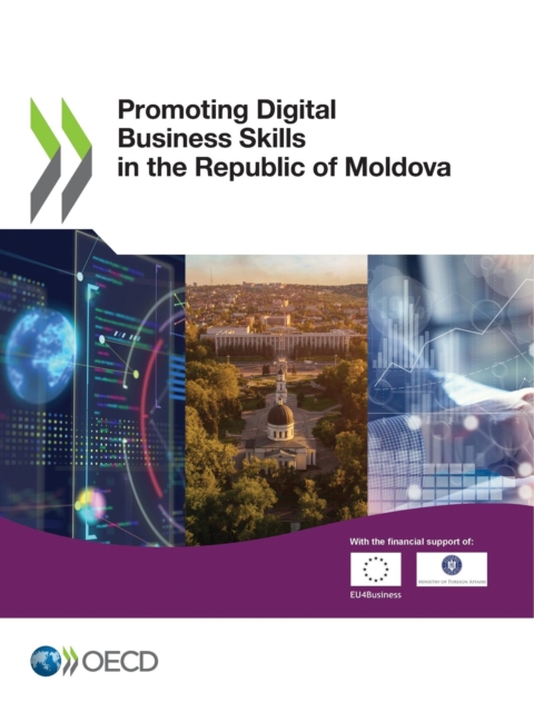Promoting Digital Business Skills in the Republic of Moldova, PDF eBook