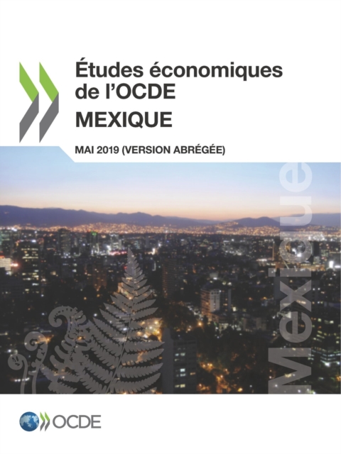 Etudes economiques de l'OCDE : Mexique 2019 (version abregee), PDF eBook