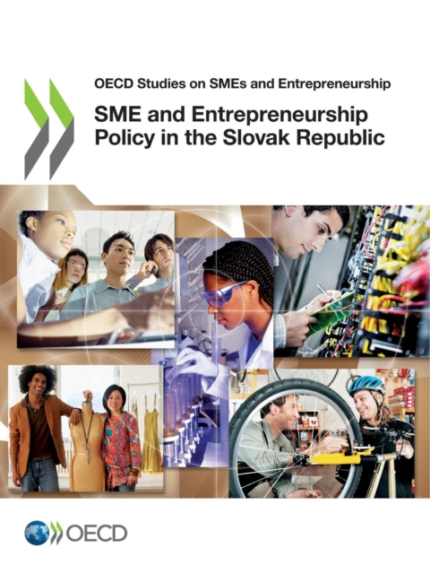 OECD Studies on SMEs and Entrepreneurship SME and Entrepreneurship Policy in the Slovak Republic, PDF eBook