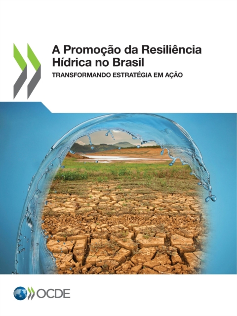 A Promocao da Resiliencia Hidrica no Brasil Transformando estrategia em acao, PDF eBook