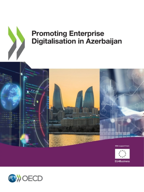 Promoting Enterprise Digitalisation in Azerbaijan, PDF eBook