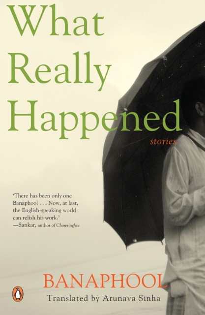 What Really Happened : Stories, EPUB eBook
