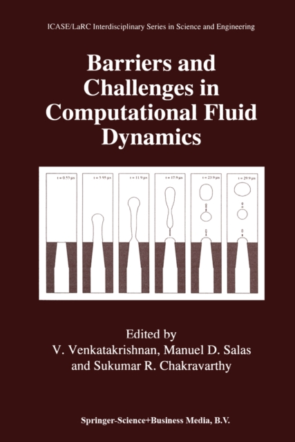 Barriers and Challenges in Computational Fluid Dynamics, PDF eBook