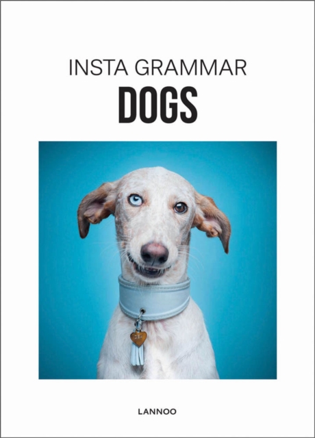 Insta Grammar Dogs, Hardback Book