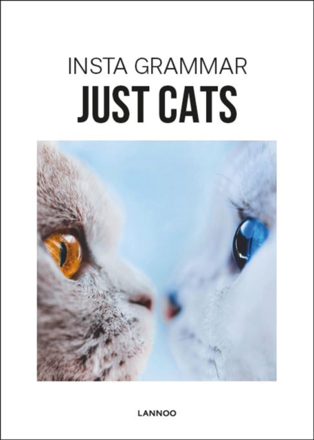 Insta Grammar Just Cats, Paperback / softback Book