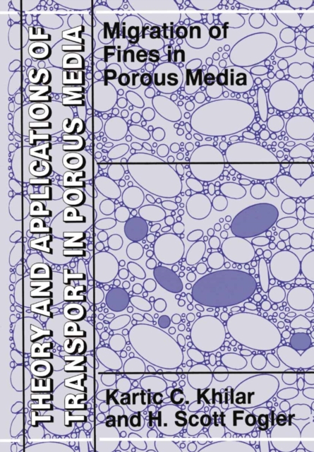 Migrations of Fines in Porous Media, PDF eBook