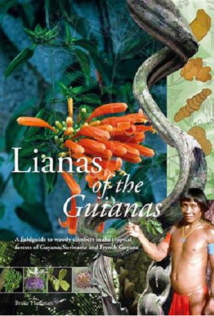 Lianas of the Guianas : A Fieldguide to Woody Climbers in the Tropical Forests of Guyana, Suriname and French Guyana, Hardback Book