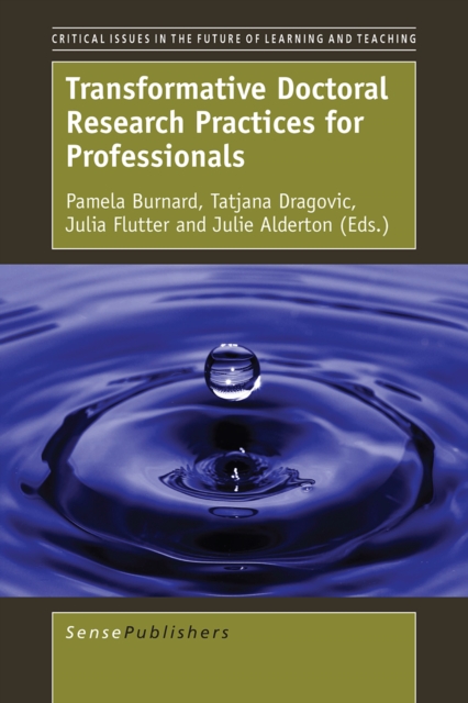 Transformative Doctoral Research Practices for Professionals, PDF eBook