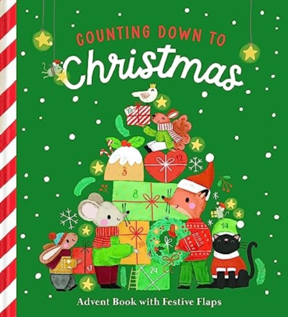 Counting Down to Christmas : Advent Book with Festive Flaps, Board book Book
