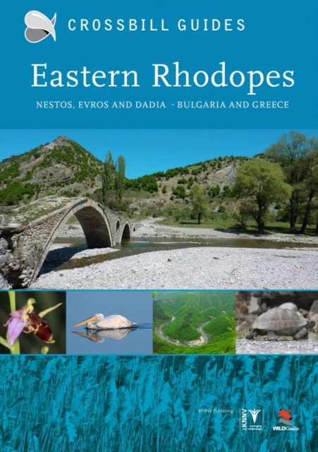 Eastern Rhodopes : Nestos, Evros and Dadia - Bulgaria and Greece, Paperback / softback Book