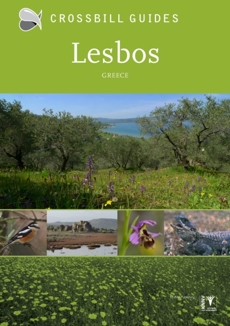 Lesbos : Greece, Paperback / softback Book