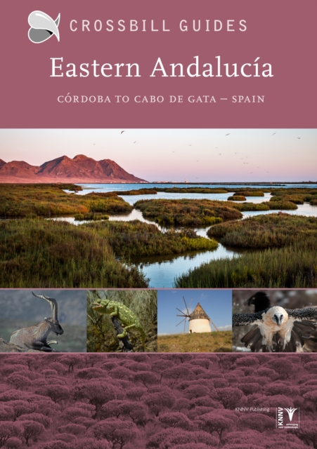 Eastern Andalucia : From Malaga to Cabo de Gata, Spain II, Paperback / softback Book