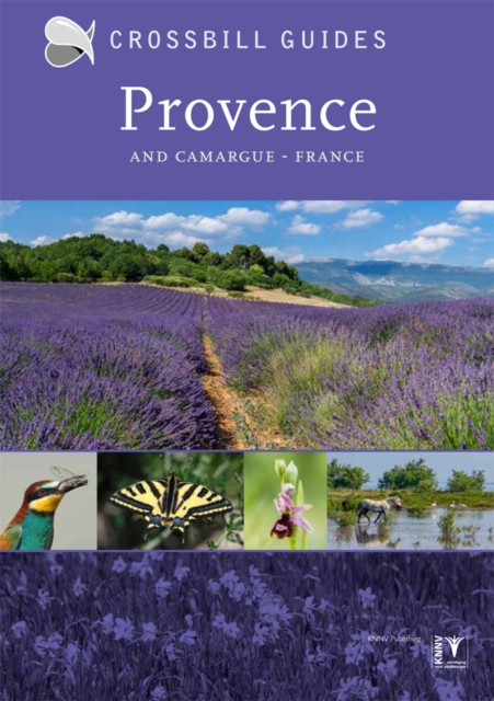 Provence : And Camargue, France, Paperback / softback Book