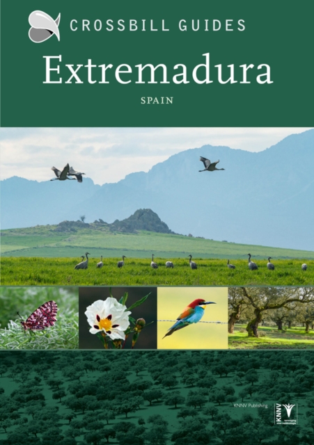 Extremadura : Spain, Paperback / softback Book