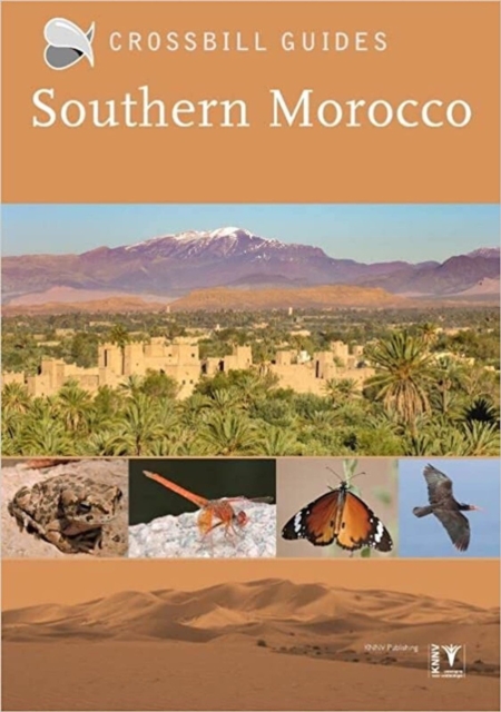 Southern Morocco, Paperback / softback Book