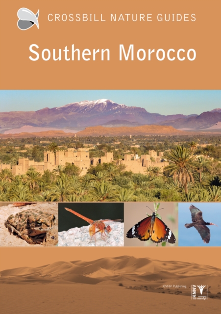 Southern Morocco, Paperback / softback Book