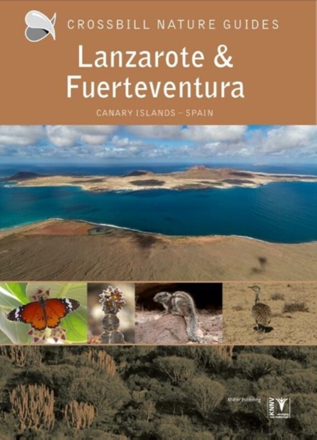 Lanzarote and Fuerteventura : Spain, Paperback / softback Book