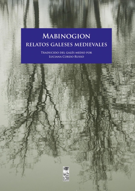 Mabinogion. Relatos galeses medievales, EPUB eBook