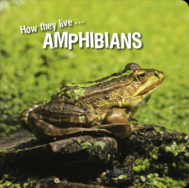How they live... Amphibians, EPUB eBook