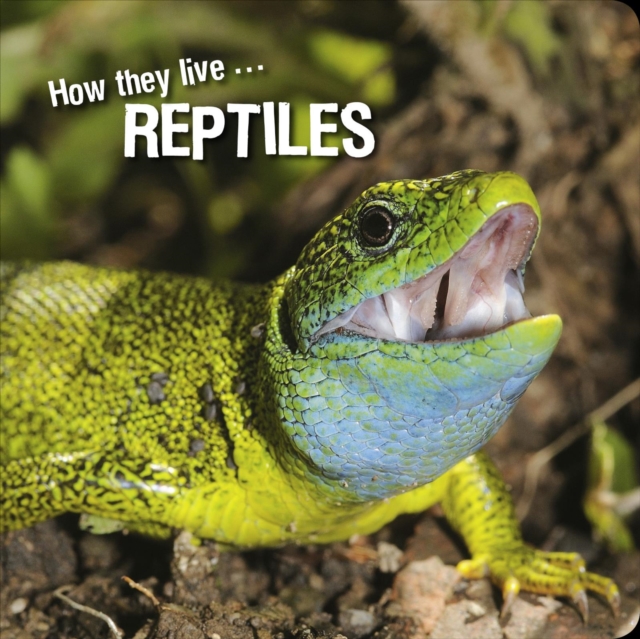 How they live... Reptiles, EPUB eBook