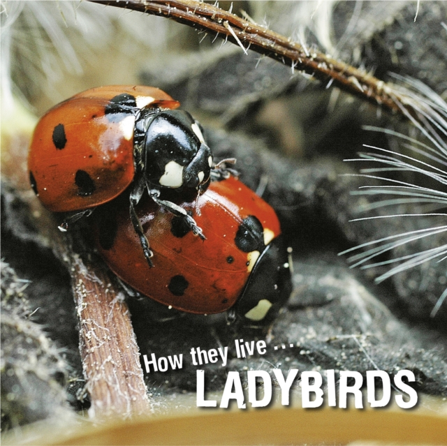 How they live... Ladybirds, EPUB eBook