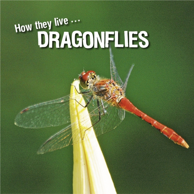 How they live... Dragonflies, EPUB eBook