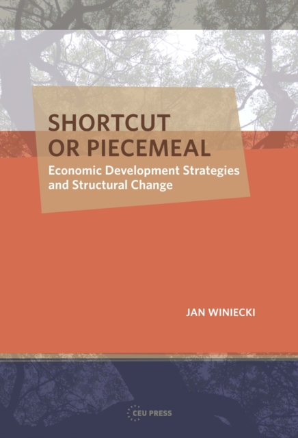 Shortcut or Piecemeal : Economic Development Strategies and Structural Change, PDF eBook