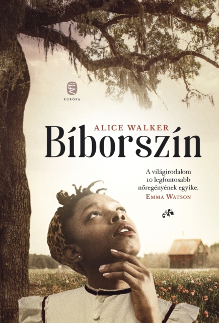Biborszin, EPUB eBook
