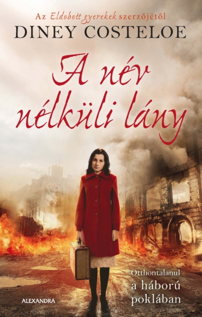 A nev nelkuli lany, EPUB eBook