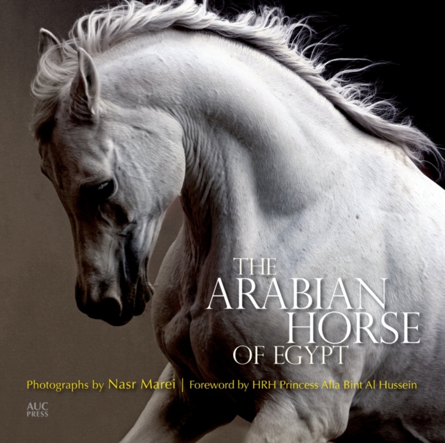 The Arabian Horse of Egypt, Paperback / softback Book