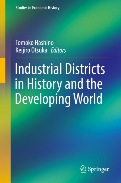 Industrial Districts in History and the Developing World, PDF eBook