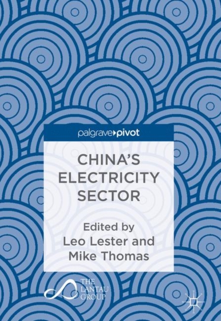 China’s Electricity Sector, Hardback Book