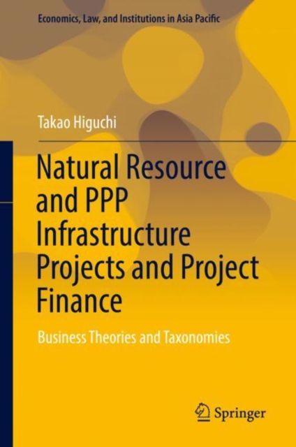Natural Resource and PPP Infrastructure Projects and Project Finance : Business Theories and Taxonomies, EPUB eBook