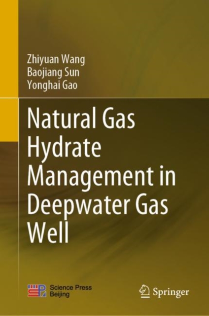 Natural Gas Hydrate Management in Deepwater Gas Well, PDF eBook