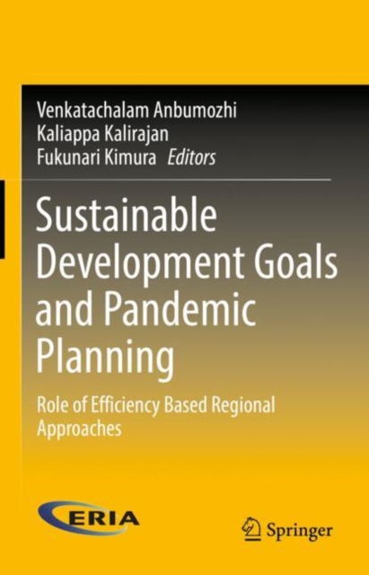 Sustainable Development Goals and Pandemic Planning : Role of Efficiency Based Regional Approaches, EPUB eBook