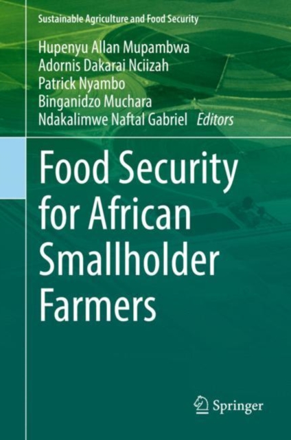 Food Security for African Smallholder Farmers, EPUB eBook