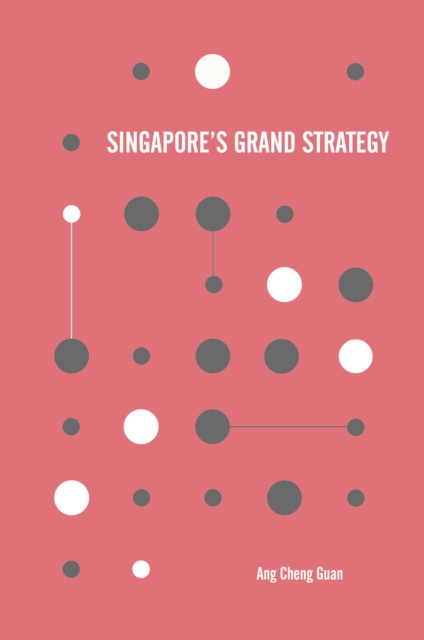 Singapore's Grand Strategy, PDF eBook
