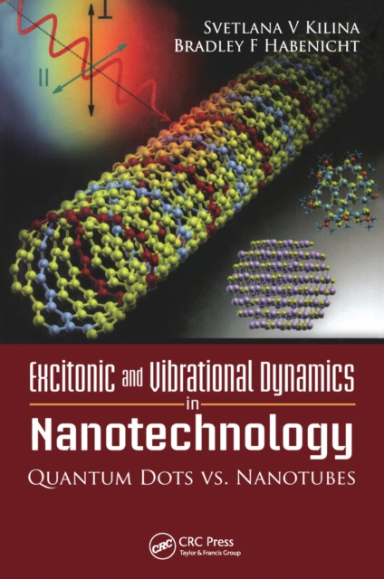 Excitonic and Vibrational Dynamics in Nanotechnology, PDF eBook