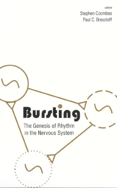 Bursting: The Genesis Of Rhythm In The Nervous System, PDF eBook