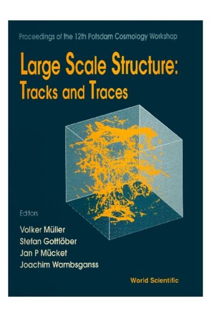 Large Scale Structure: Tracks And Traces - Proceedings Of 12th Potsdam Cosmology Workshop, PDF eBook