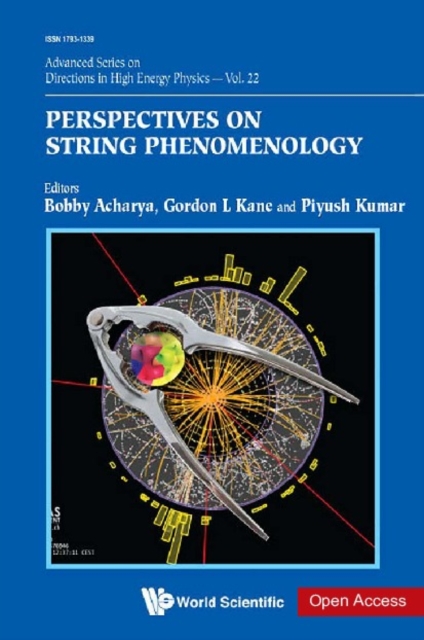 Perspectives On String Phenomenology, EPUB eBook