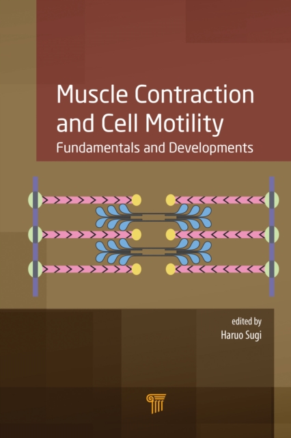 Muscle Contraction and Cell Motility : Fundamentals and Developments, PDF eBook
