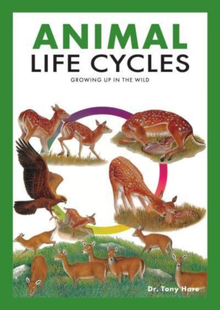 Animal Life Cycles : Discovering How Animals Live in the Wild, Paperback / softback Book