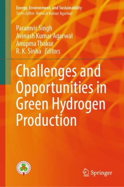 Challenges and Opportunities in Green Hydrogen Production, EPUB eBook