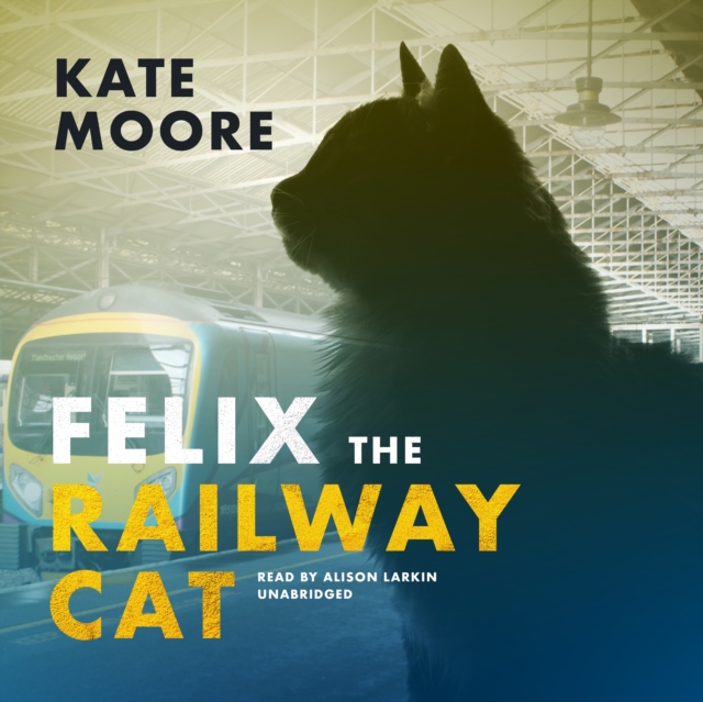Felix the Railway Cat, eAudiobook MP3 eaudioBook