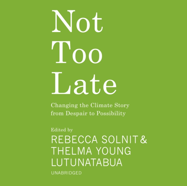 Not Too Late, eAudiobook MP3 eaudioBook