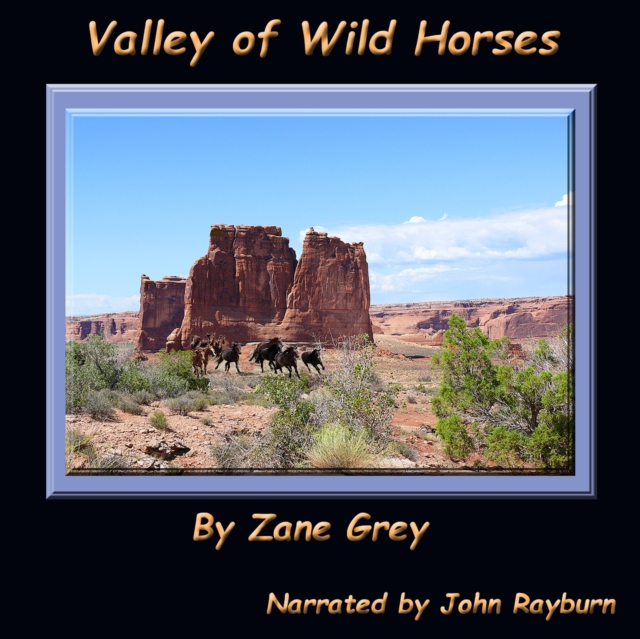 Valley of Wild Horses, eAudiobook MP3 eaudioBook