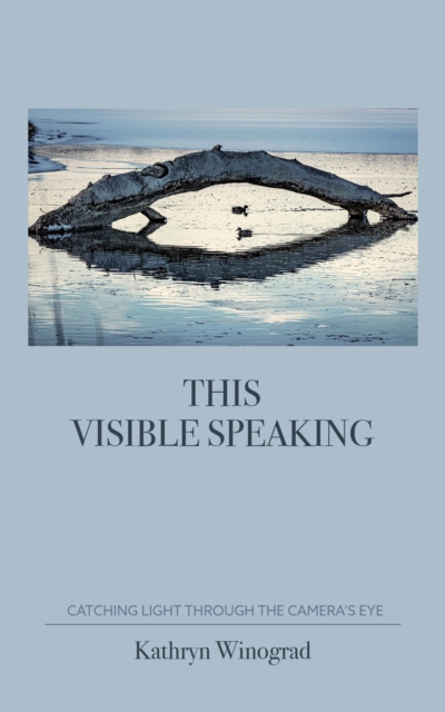 This Visible Speaking : Catching Light Through The Camera's Eye, EPUB eBook