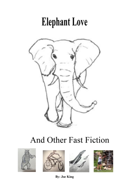 Elephant Love and Other Fast Fiction, EPUB eBook