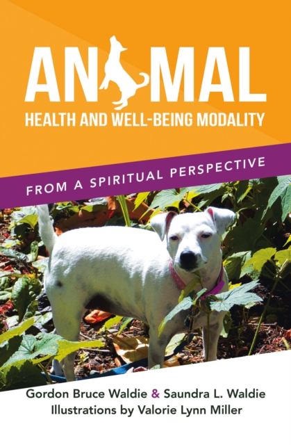 ANIMAL       HEALTH AND WELL-BEING                     MODALITY : FROM A SPIRITUAL PERSPECTIVE, EPUB eBook
